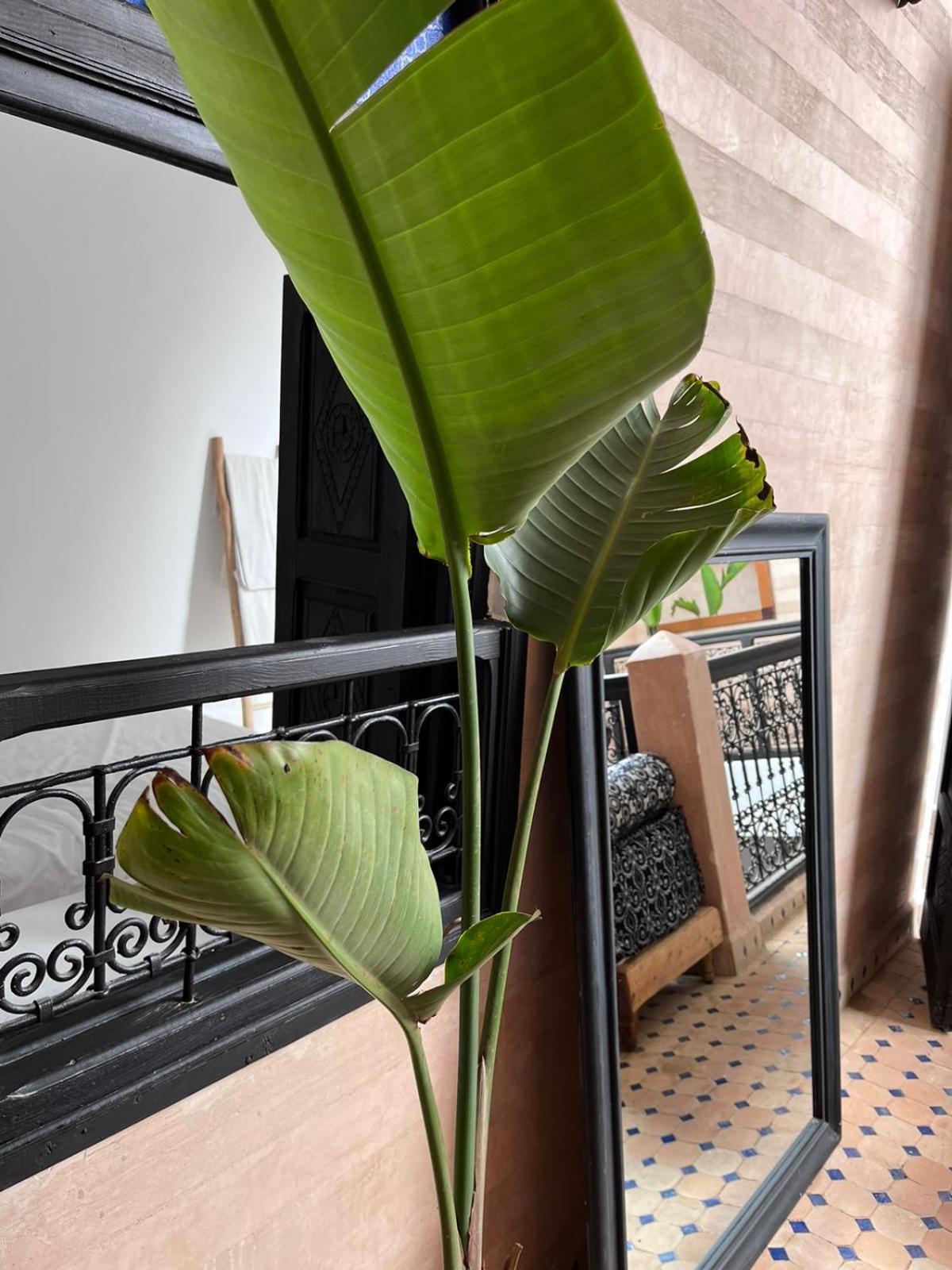 Riad Black Doors Marrakesh Extérieur photo