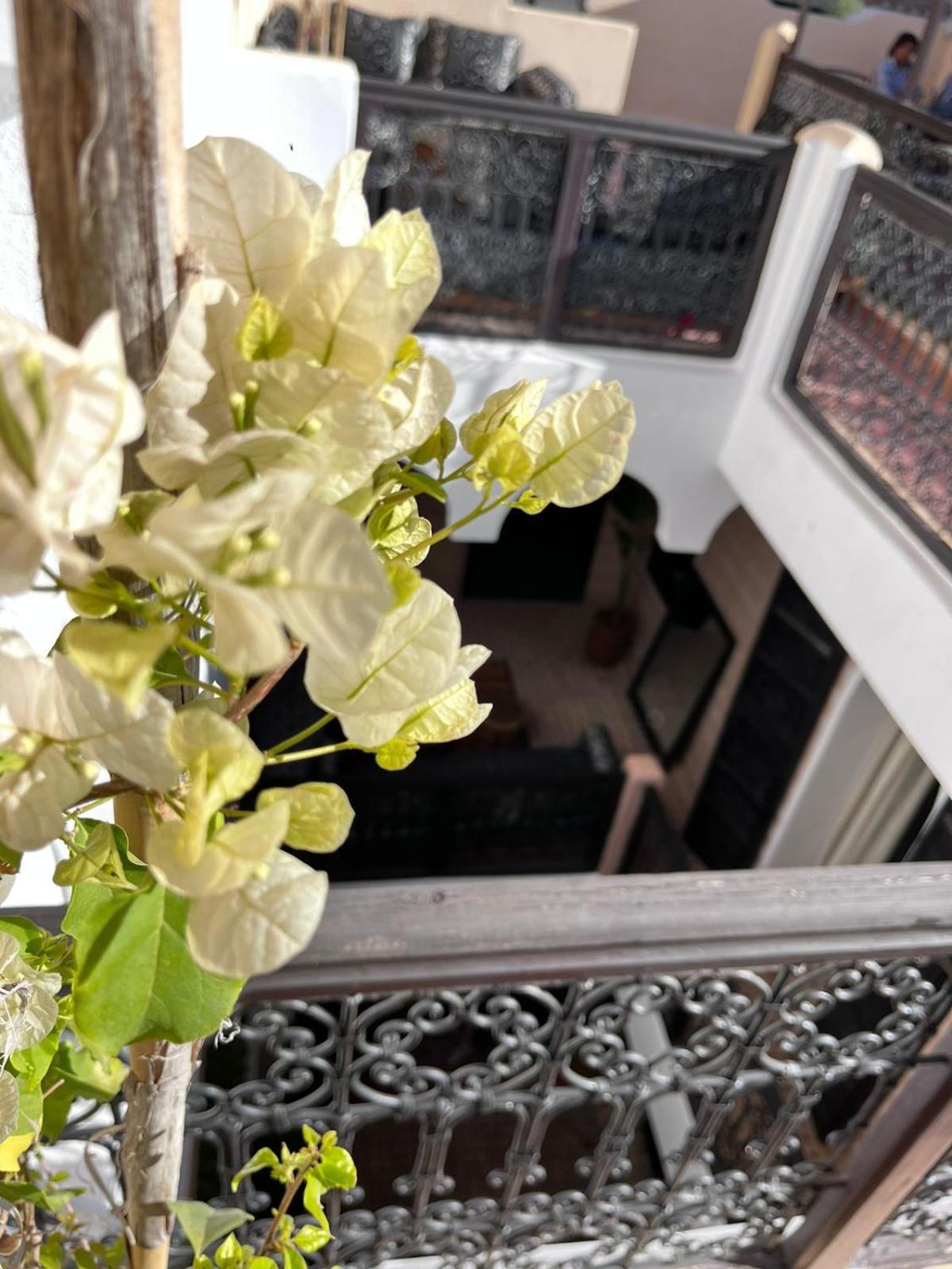 Riad Black Doors Marrakesh Extérieur photo